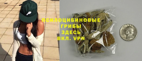 Альфа ПВП Аркадак