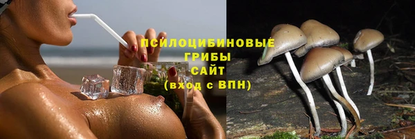 Альфа ПВП Аркадак