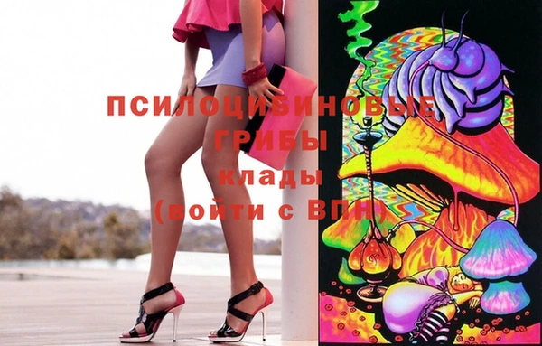PSILOCYBIN Магас
