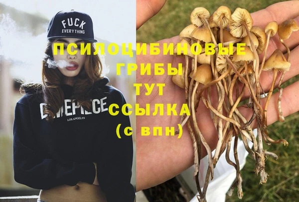 дурь Алексин