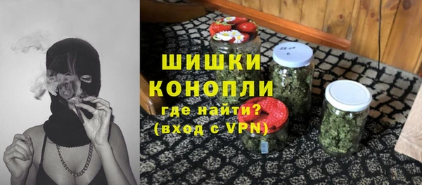 Альфа ПВП Аркадак