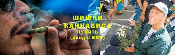 Альфа ПВП Аркадак